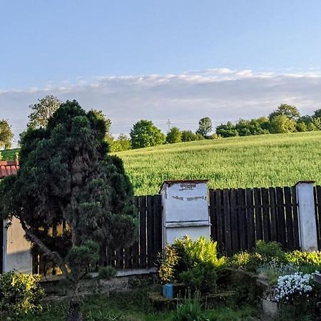 Chalupa u rybníka Střehom Dolní Bousov Exteriér fotografie