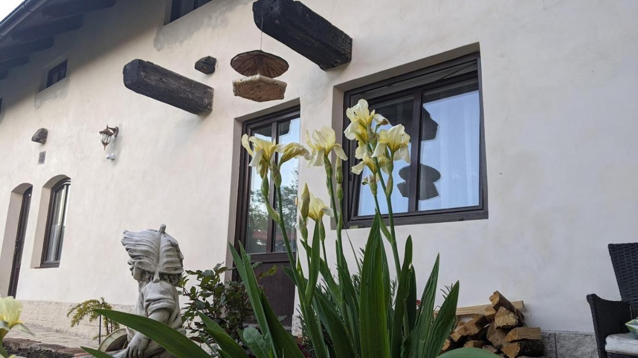 Chalupa u rybníka Střehom Dolní Bousov Exteriér fotografie
